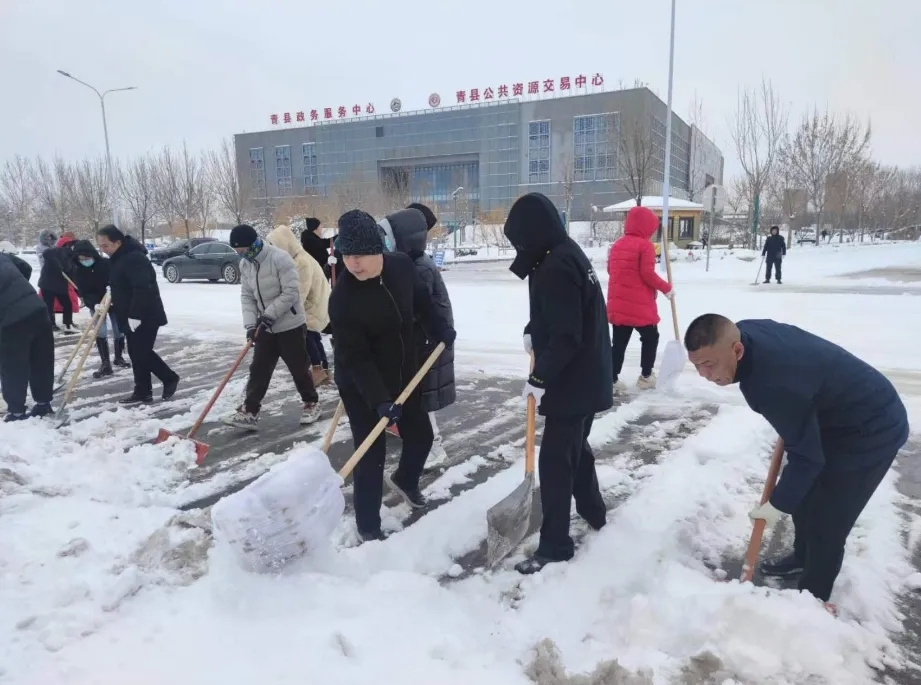 “以雪为令 闻雪而动”青县文体广电和旅游局扫雪除冰护平安